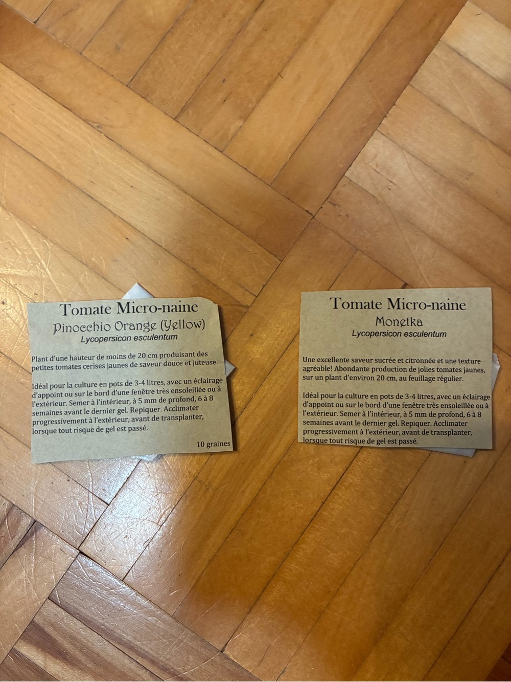 Tomate Micro-naine Seed Packets